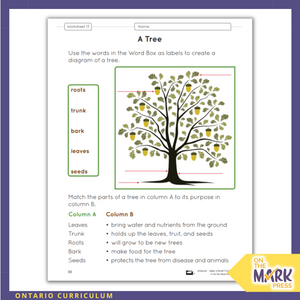 Life Systems Growth and Change in Plants Ontario Grade 3 Curriculum